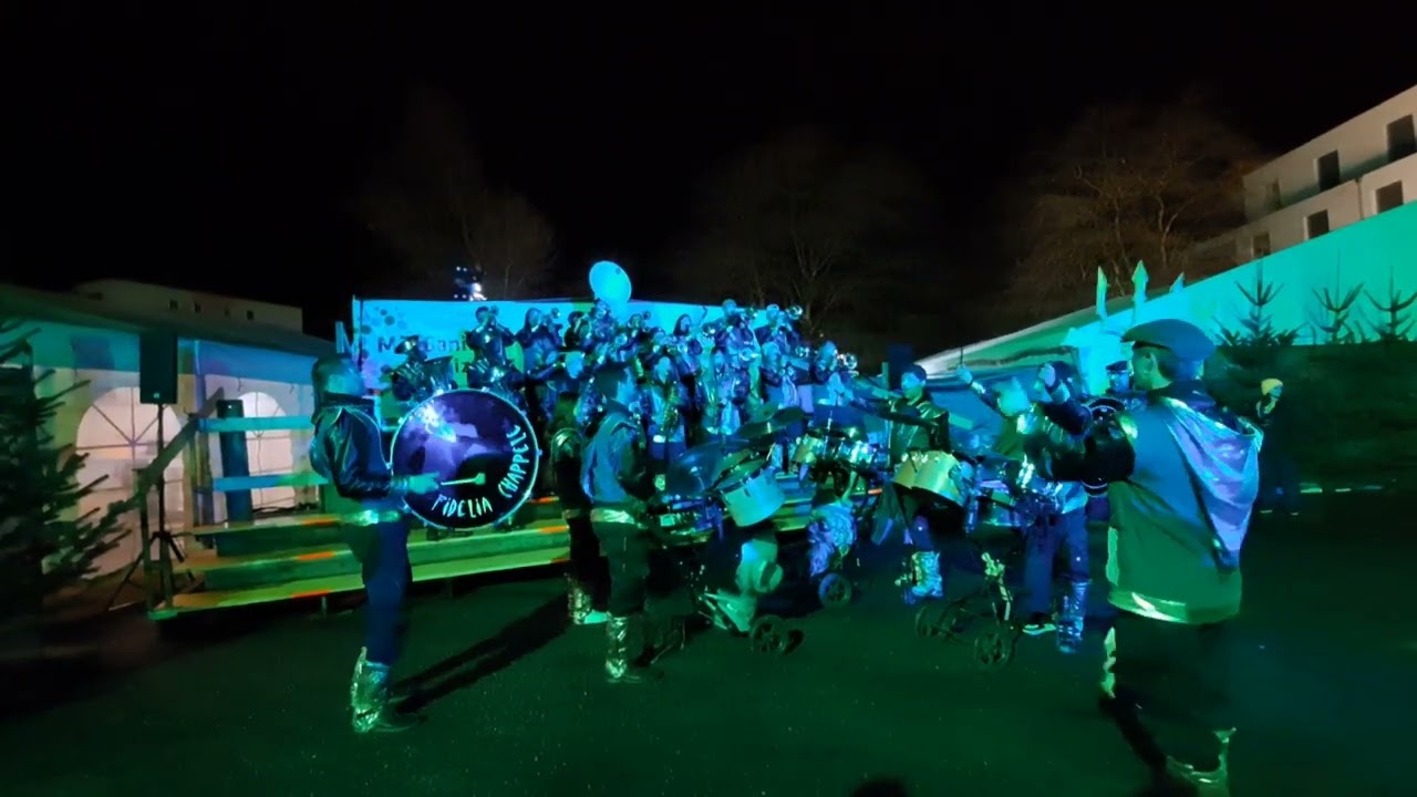 Fasnacht Siebnen 31.1.2025