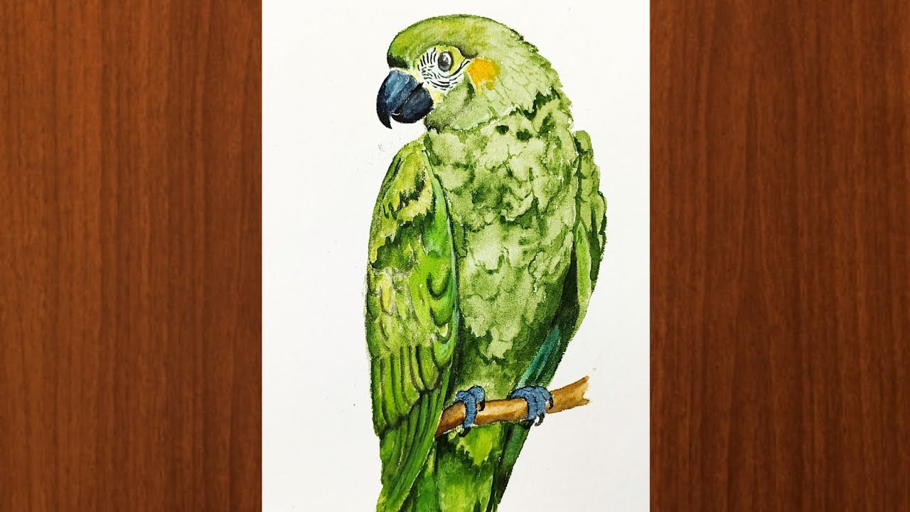 How to draw a parrot - part 1/ easy bird drawing/easy watercolor painting for beginners step by step