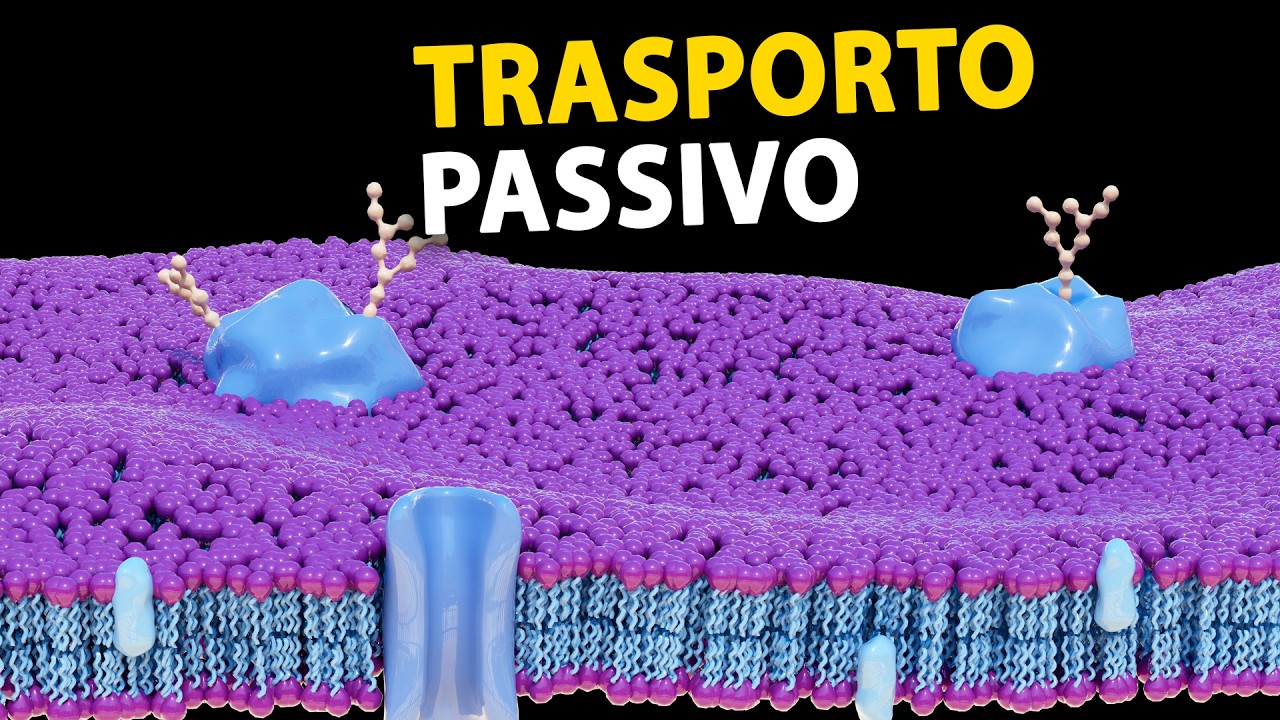 Trasporto passivo e osmosi: diffusione semplice e facilitata