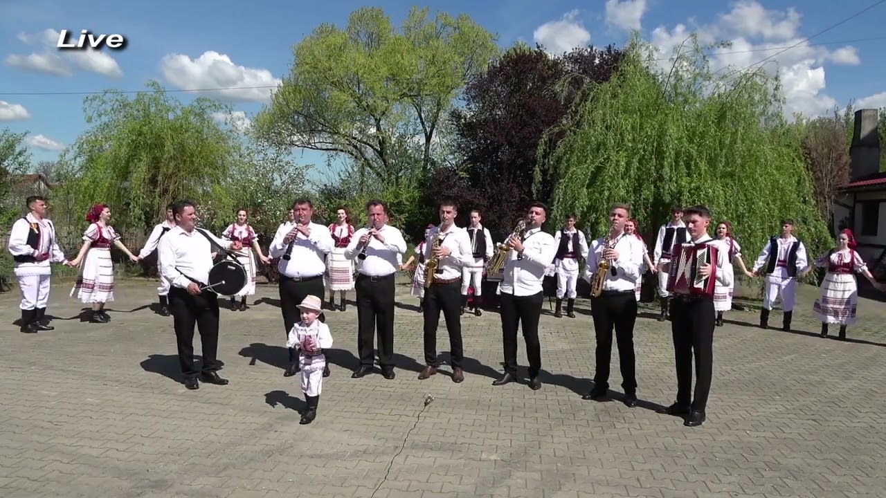 Taraful de la Bârsa  1   jud Arad