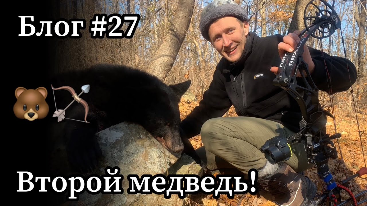 Тот Самый Олег добывает своего первого медведя из лука на той же горе, что и я!