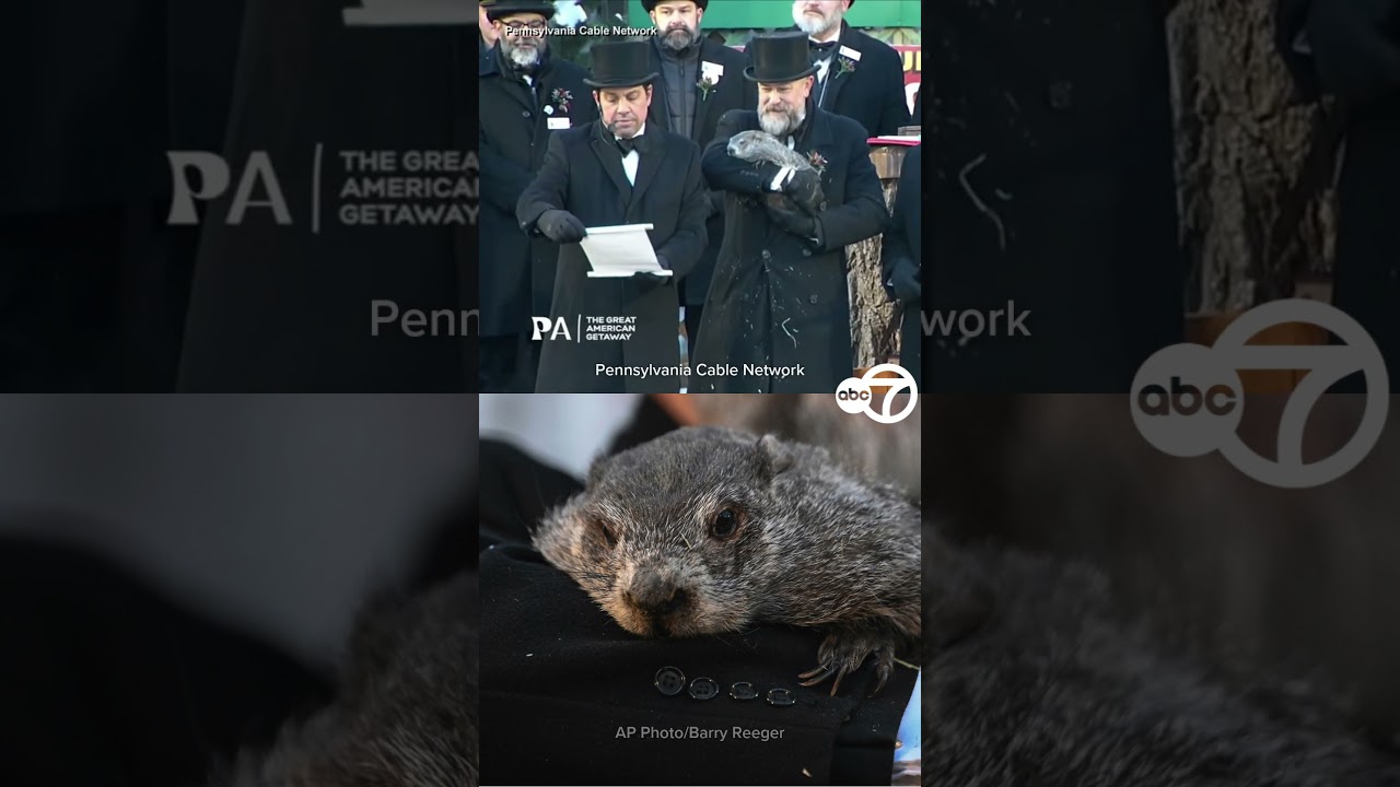 Groundhog Day 2026 - It's Punxsutawney Phil!