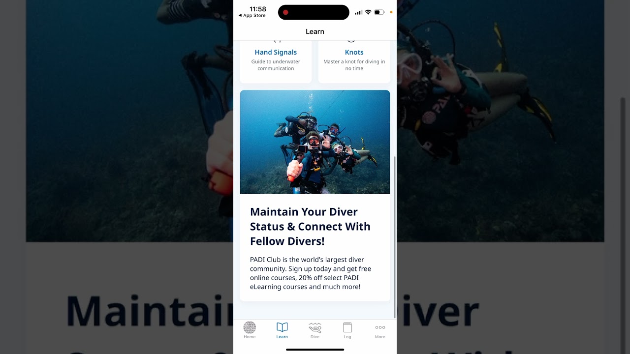 PADI app - what is it?