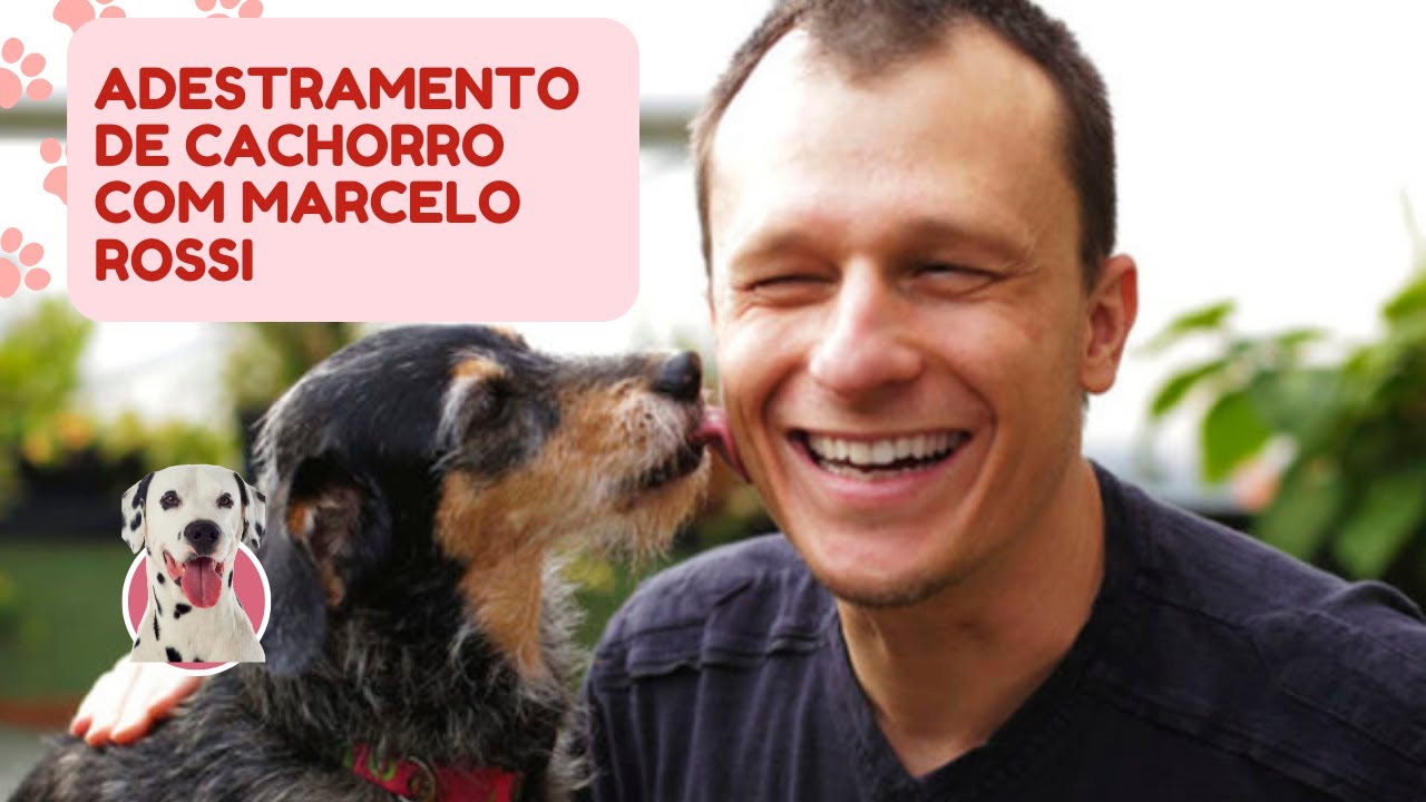 Adestramento de Cachorro com Marcelo Rossi