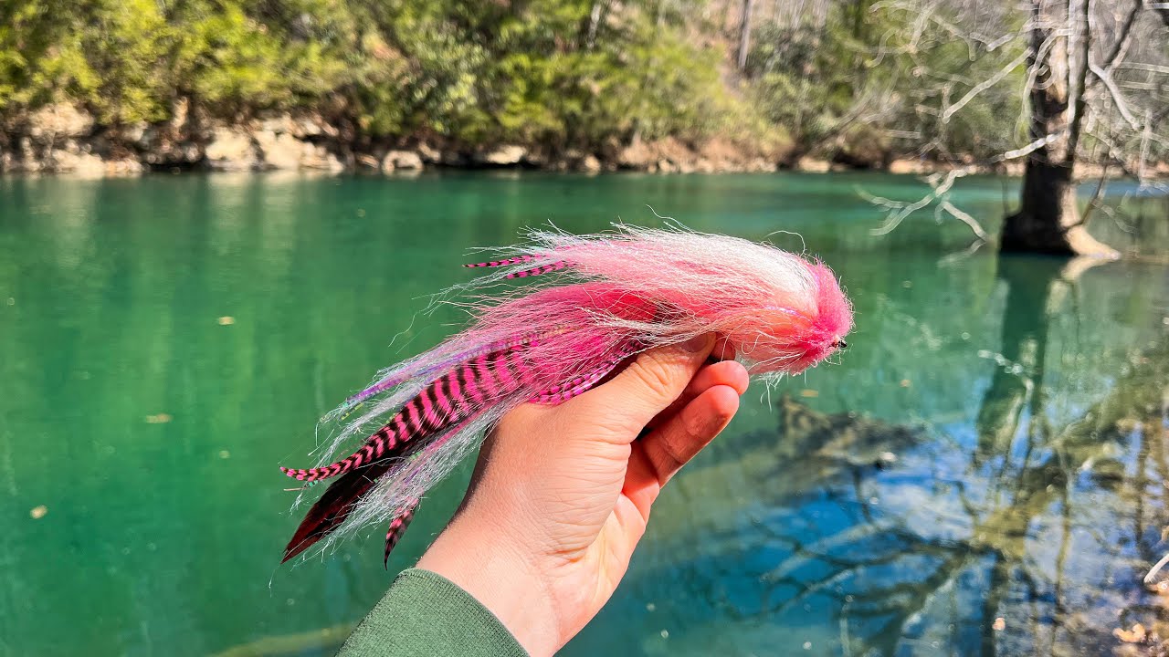 Fly Fishing Crystal Clear Water for a River Monster!! (Musky Fishing)