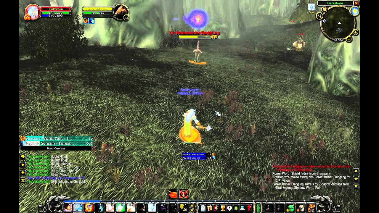 Mind Flay bugged - #2