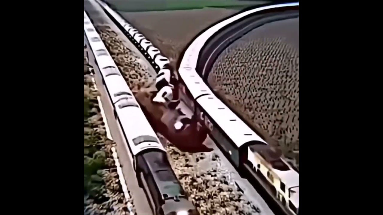 Бедный поезд... #рек #lonely #тренд #song #поезд #песня #shorts #врек #реки #apelsinvkus #пжврек