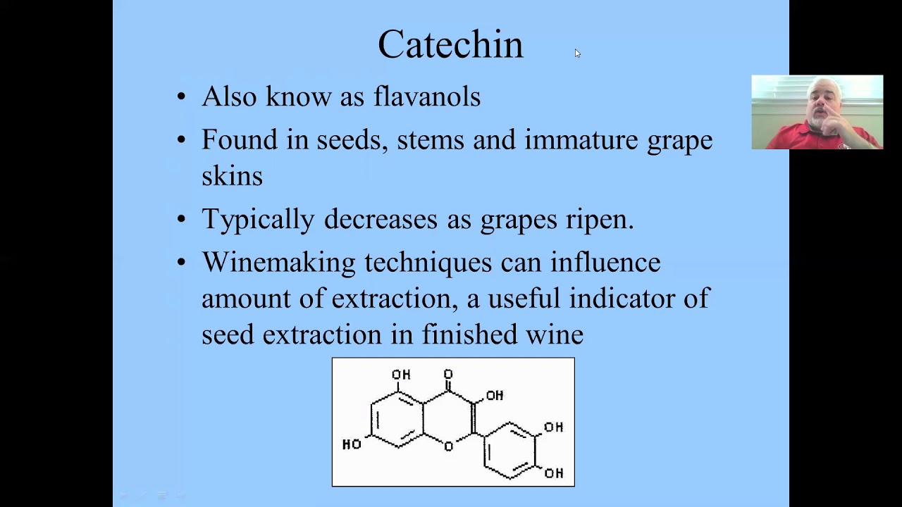 13a1 Phenolics in Wine Grapes