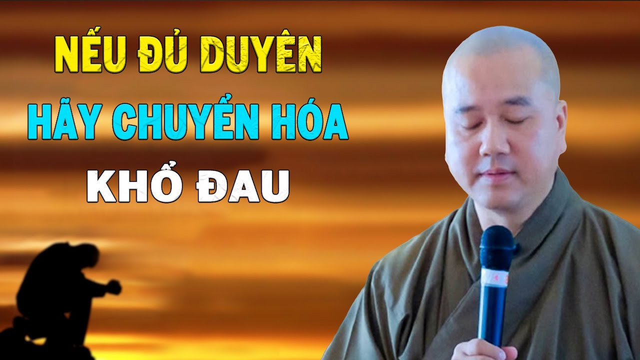 Có Chí Nguyện Sẽ Vượt Qua Nổi Khổ Đau - Pháp Thoại Thầy Thích Pháp Hòa