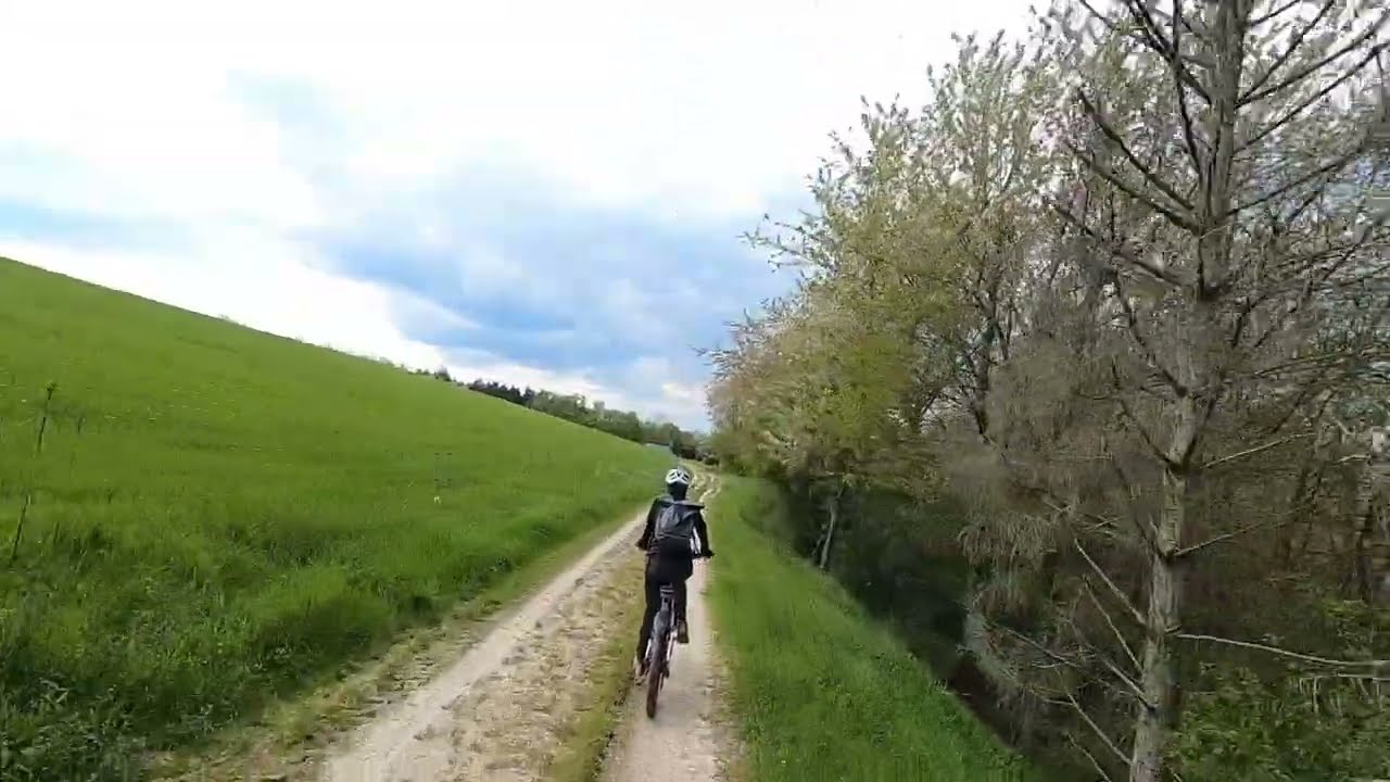 Lorch auf den Wisperbach Trail-2/2-KULTUR-RAD-TOUREN.
