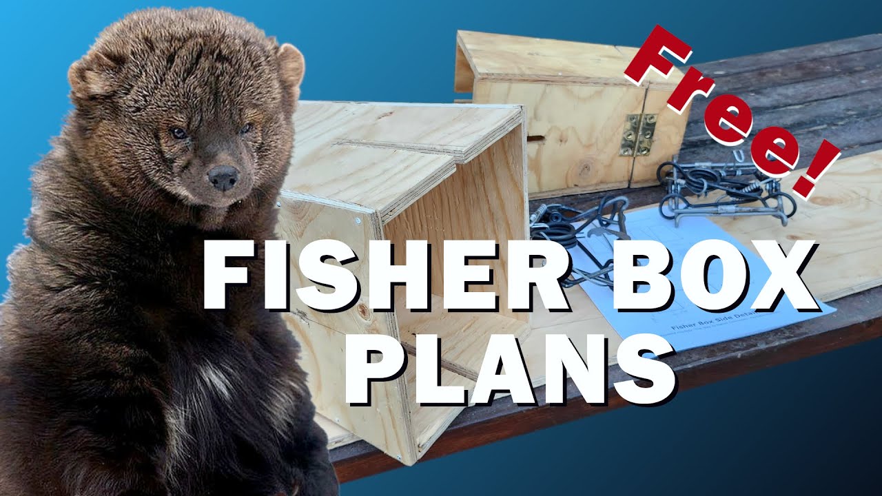 Как сделать ящики FISHER для ловли рыбы — БЕСПЛАТНЫЕ чертежи! (4K)