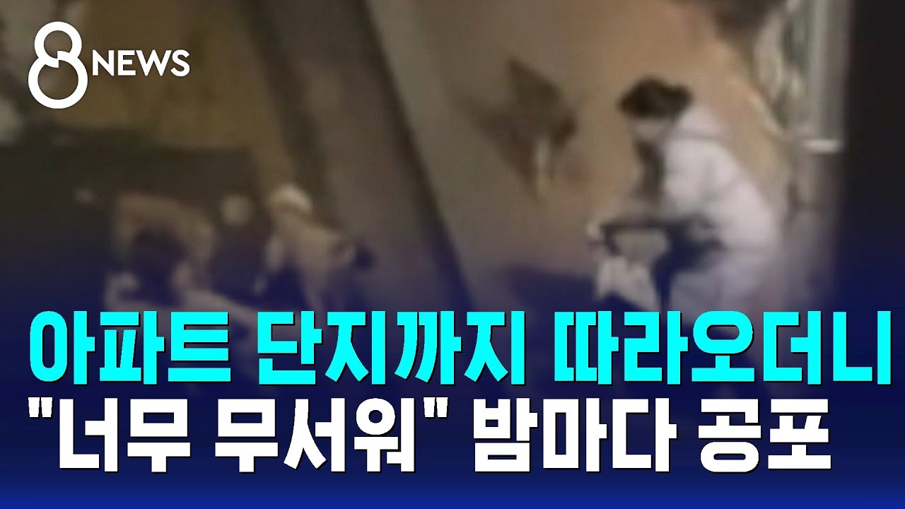 골목서 울려퍼진 비명…