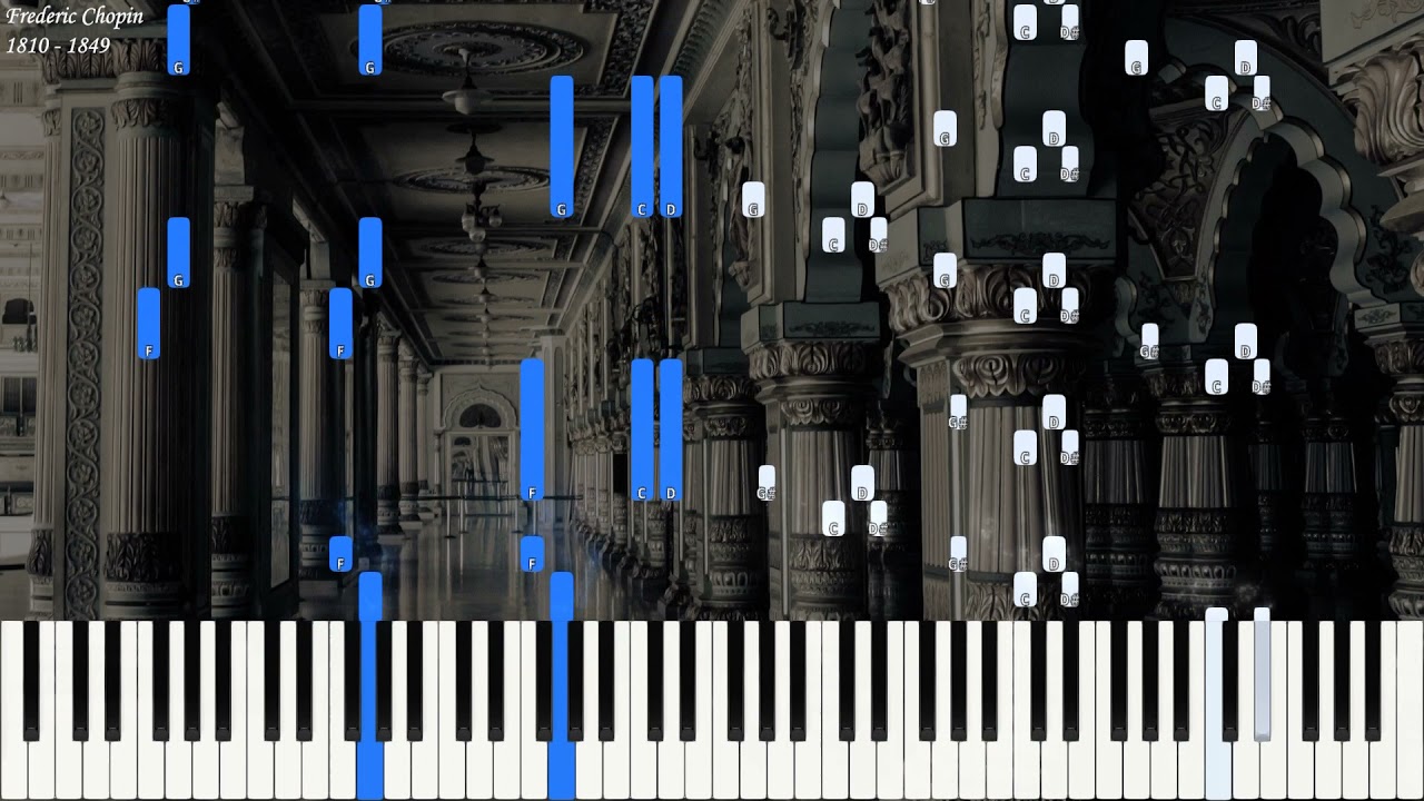 Frederic Chopin - Sonata 1 in C Minor Op 4 | Piano Synthesia | Library of Music