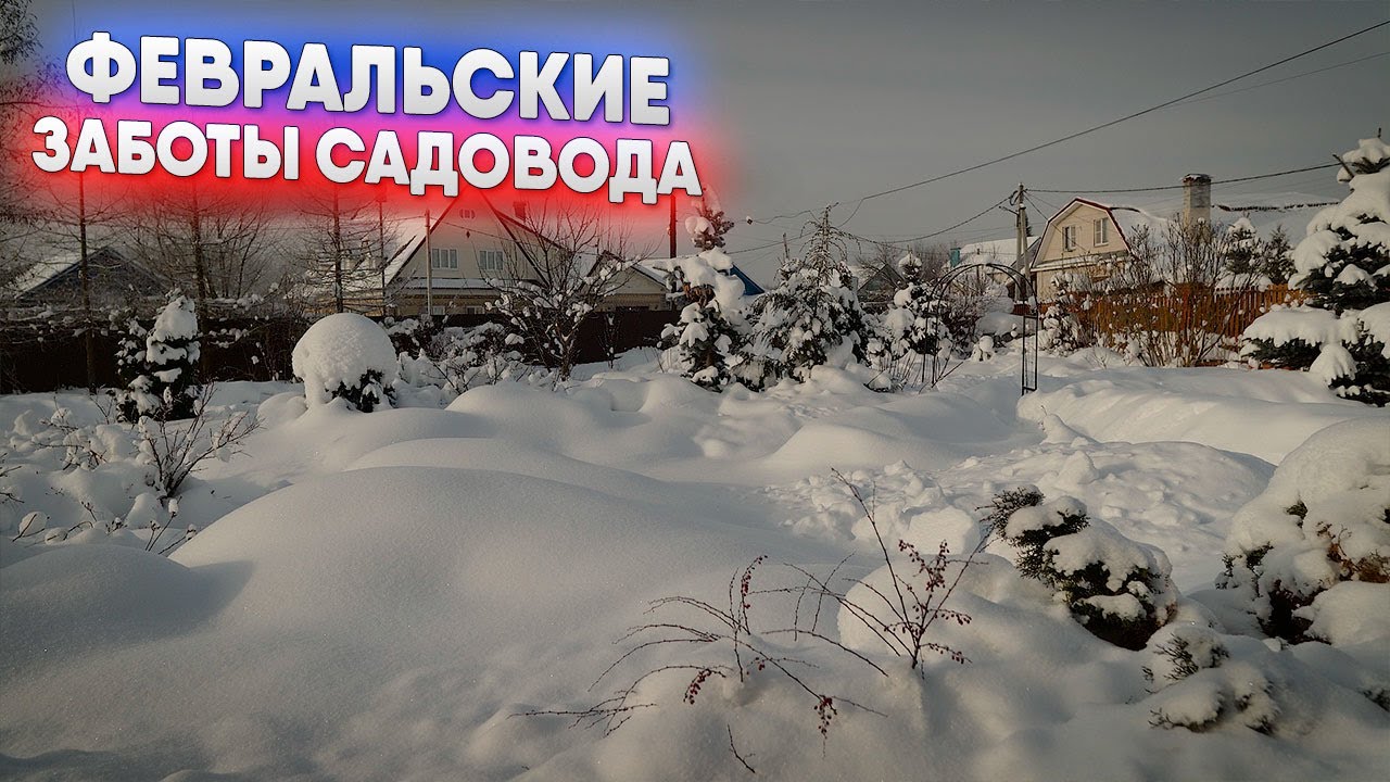 Февральские заботы садовода