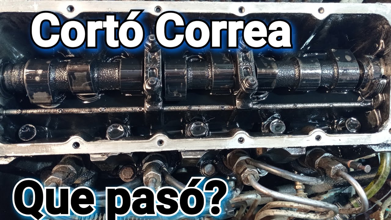 MIRÁ ESTO, DUNA CORTO CORREA DISTRIBUCION