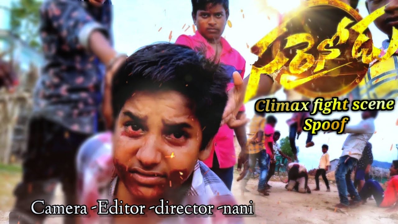 Sarrainodu movie 