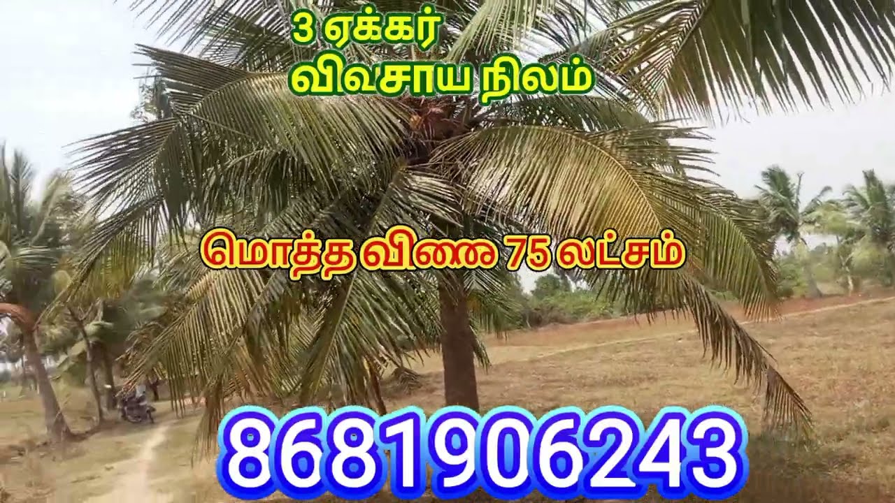 3 Acres Agricultural Land for Sale with Well & EB service | Prime Farm Land Investment Opportunity 🌾