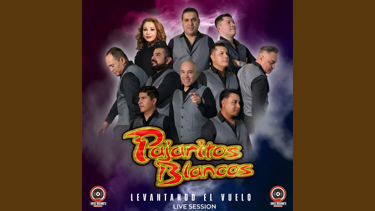 Mi Mundo (Live)