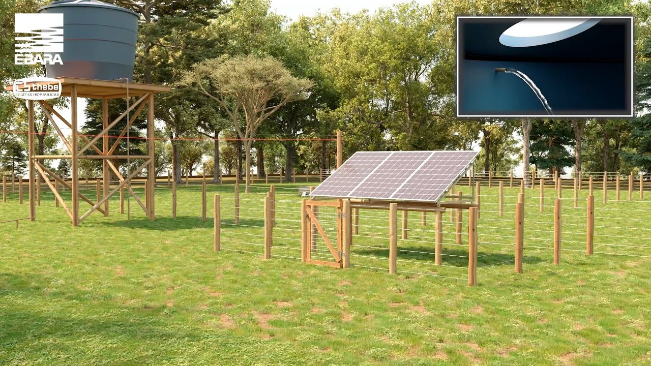 Ebara Solar.mp4