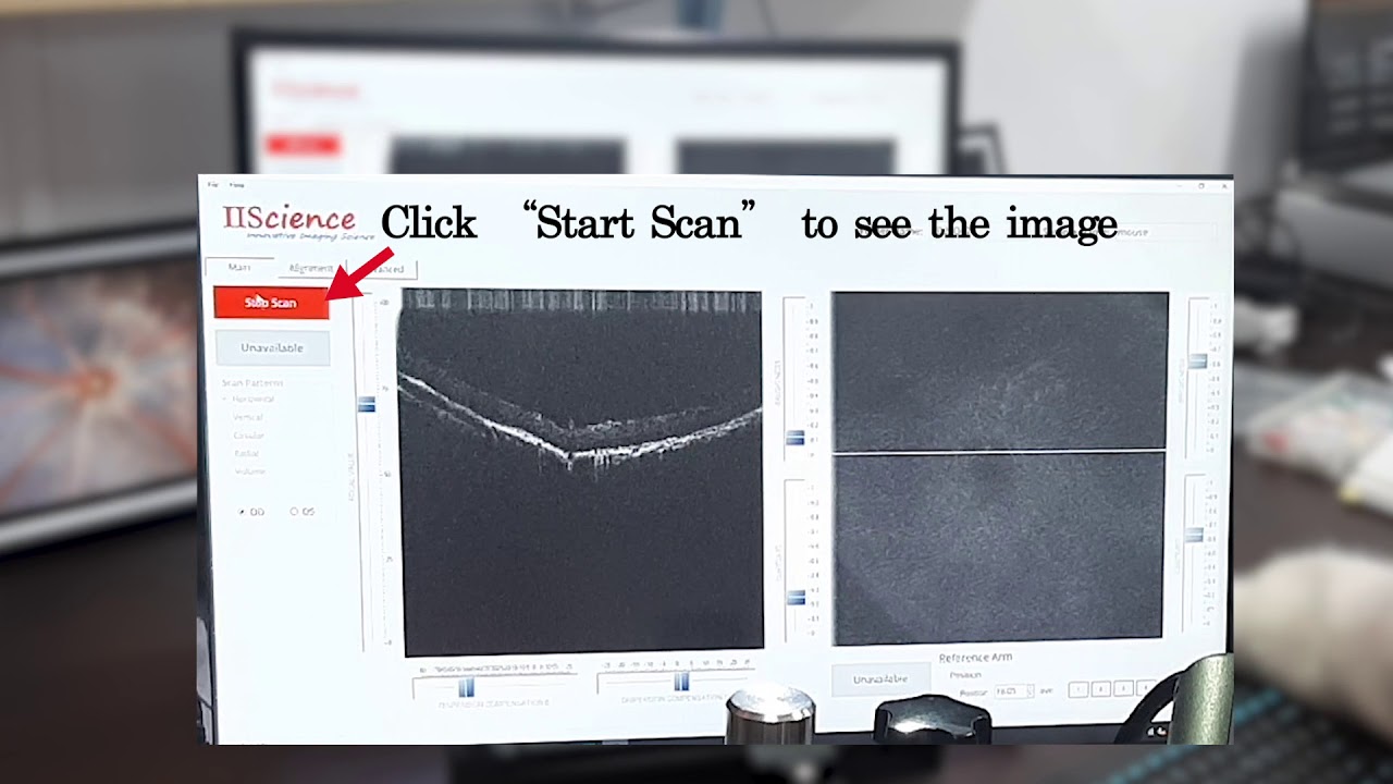 OCT-Imaging mouse retina