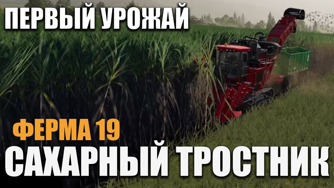 Всё о 