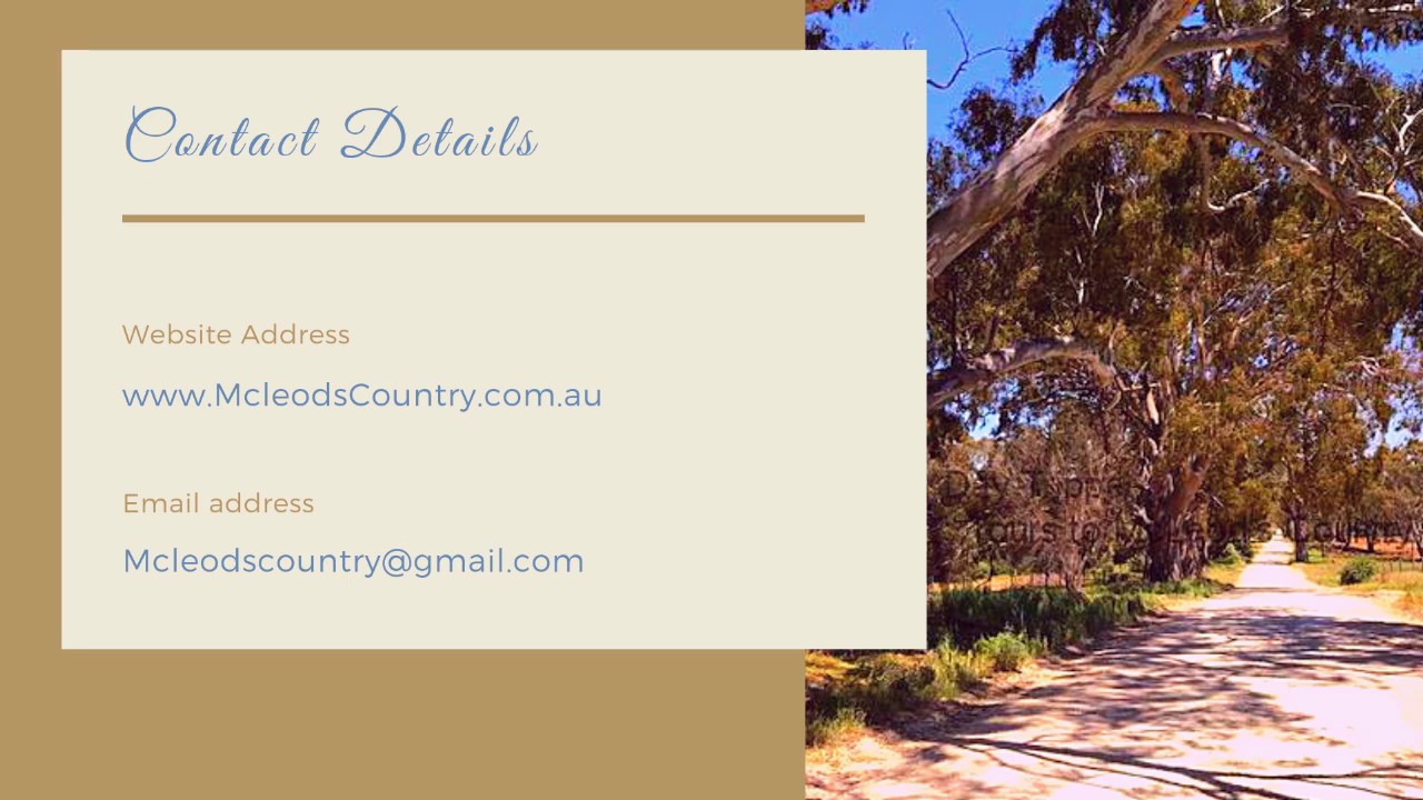 Tours to McLeods Country - Drovers Run Driveway