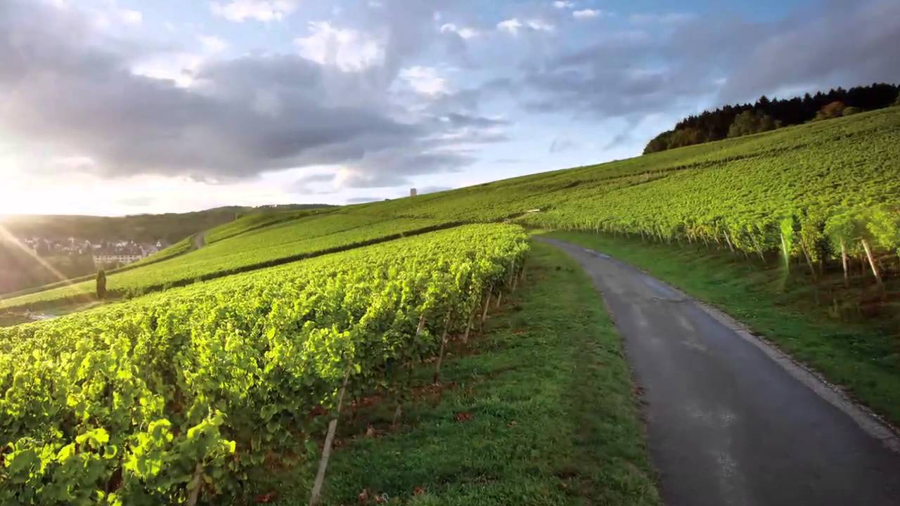 Rheingau aus der Luft