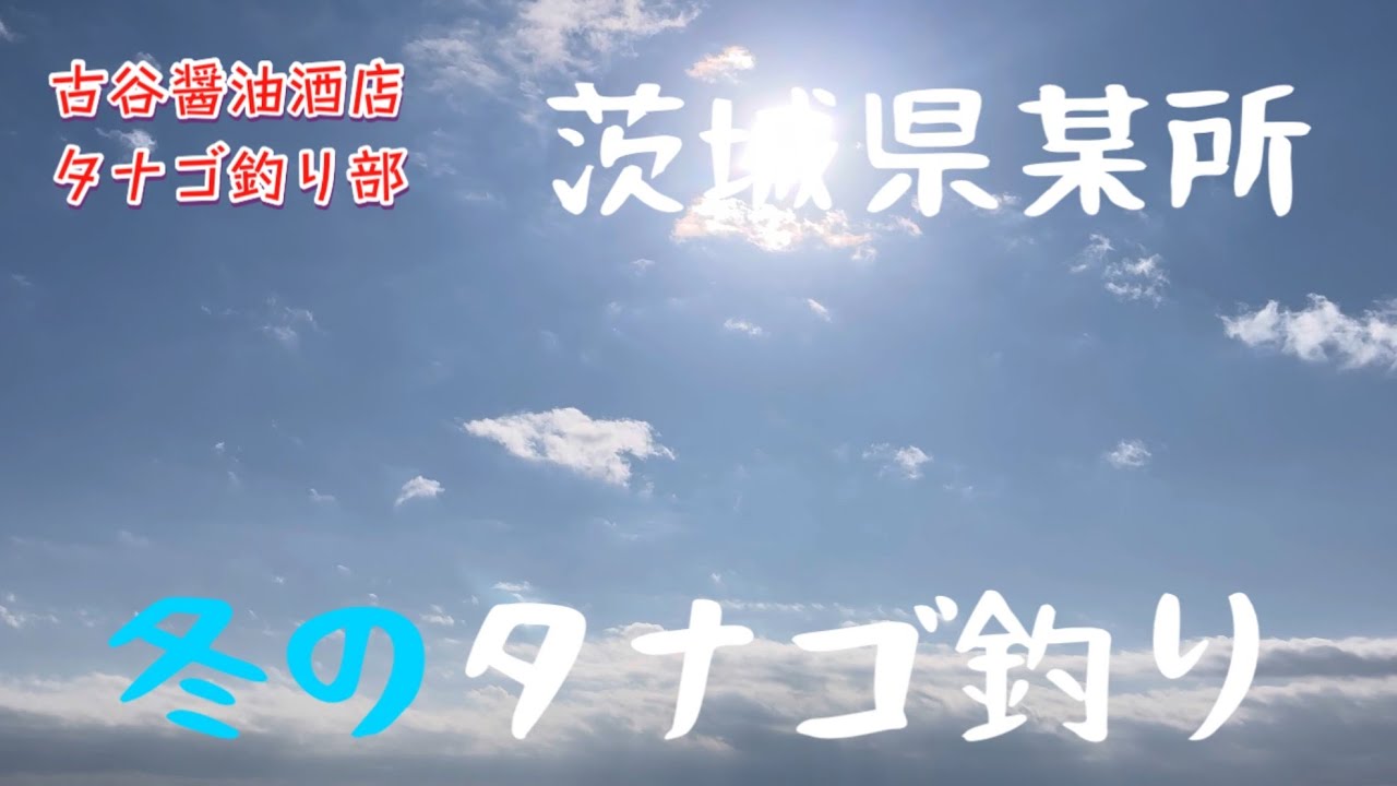 冬のタナゴ釣り（茨城県某所）　2025納竿です