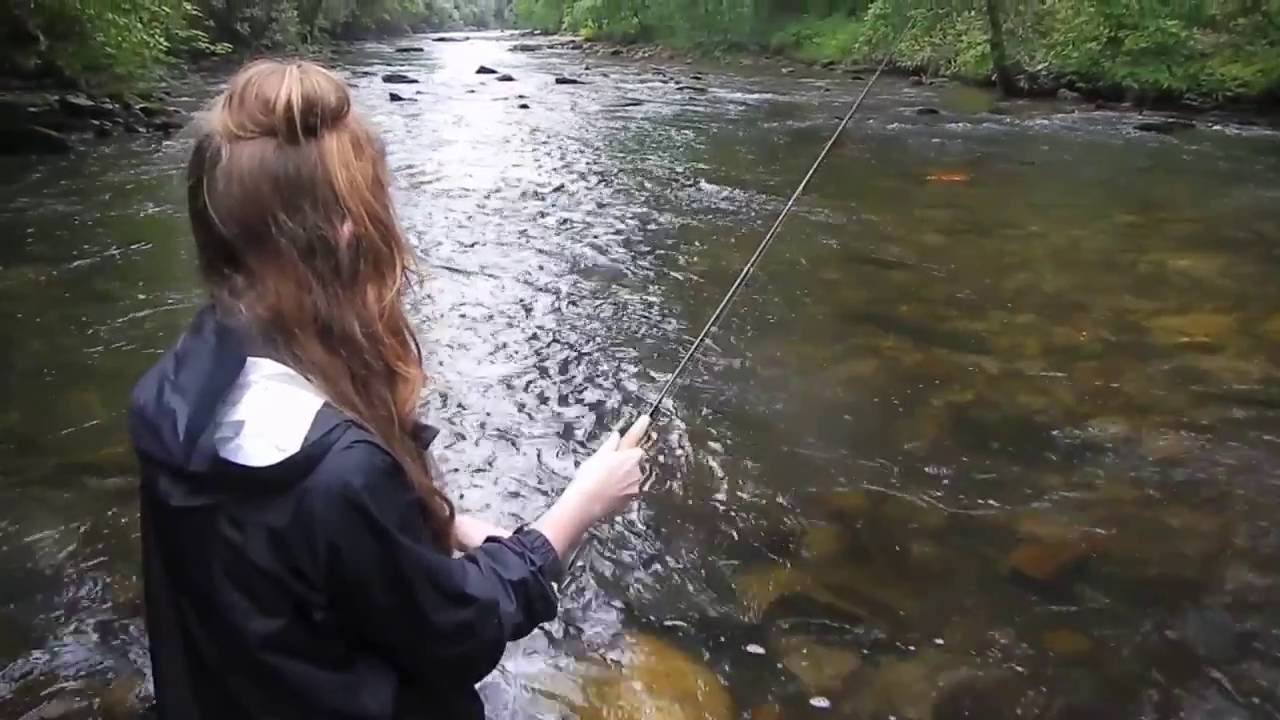 Punkin Fishes the Davidson June 2016