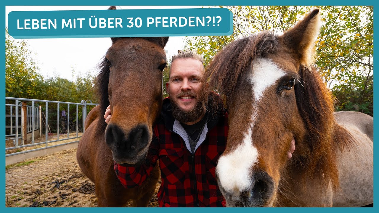 Leben mit &uuml;ber 30 Pferden?! | Tierarzt Tacheles | ZooRoyal