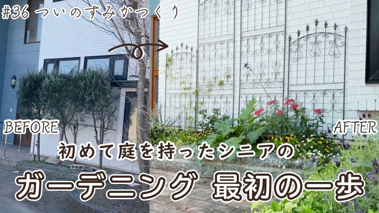 #36 初めて庭を持ったシニアのガーデニング 最初の一歩｜ビフォーアフター | 絶品アップルパイとクラムチャウダー