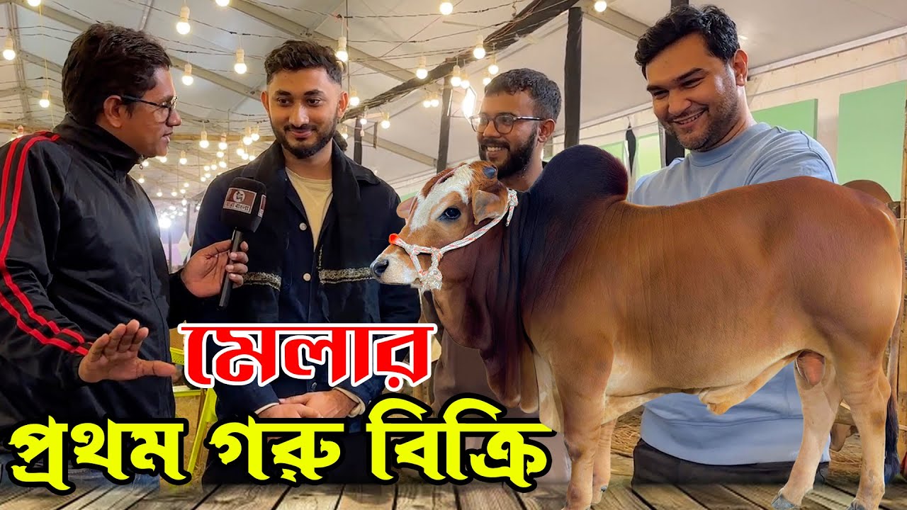 মেলার প্রথম দিনেই গরু বিক্রি করে খুশি রাখাল বাড়ি এগ্রো | জমে উঠছে প্রাণিসম্পদ মেলা ২০২৫
