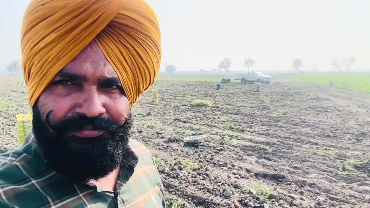 🥔🥔ਦਾ ਬਹੁਤ ਮੰਦਾ ਹਾਲ ਏ ਇਸ ਵਾਰ/ਖੇਤੀਬਾੜੀ ਮਹਿਕਮਾ/