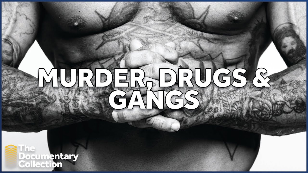 Crime Down Under Unveiled: New Zealand's Underworld Exposed |The Documentary Collection
