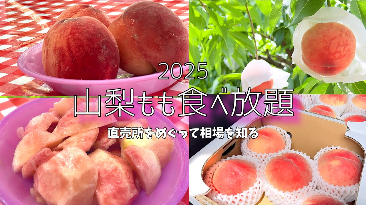 【山梨もも旅】2025桃狩り&食べ放題スタート！笛吹市周辺の直売所を巡って桃の相場を探ってきた！【日本で31%のトップシェア】
