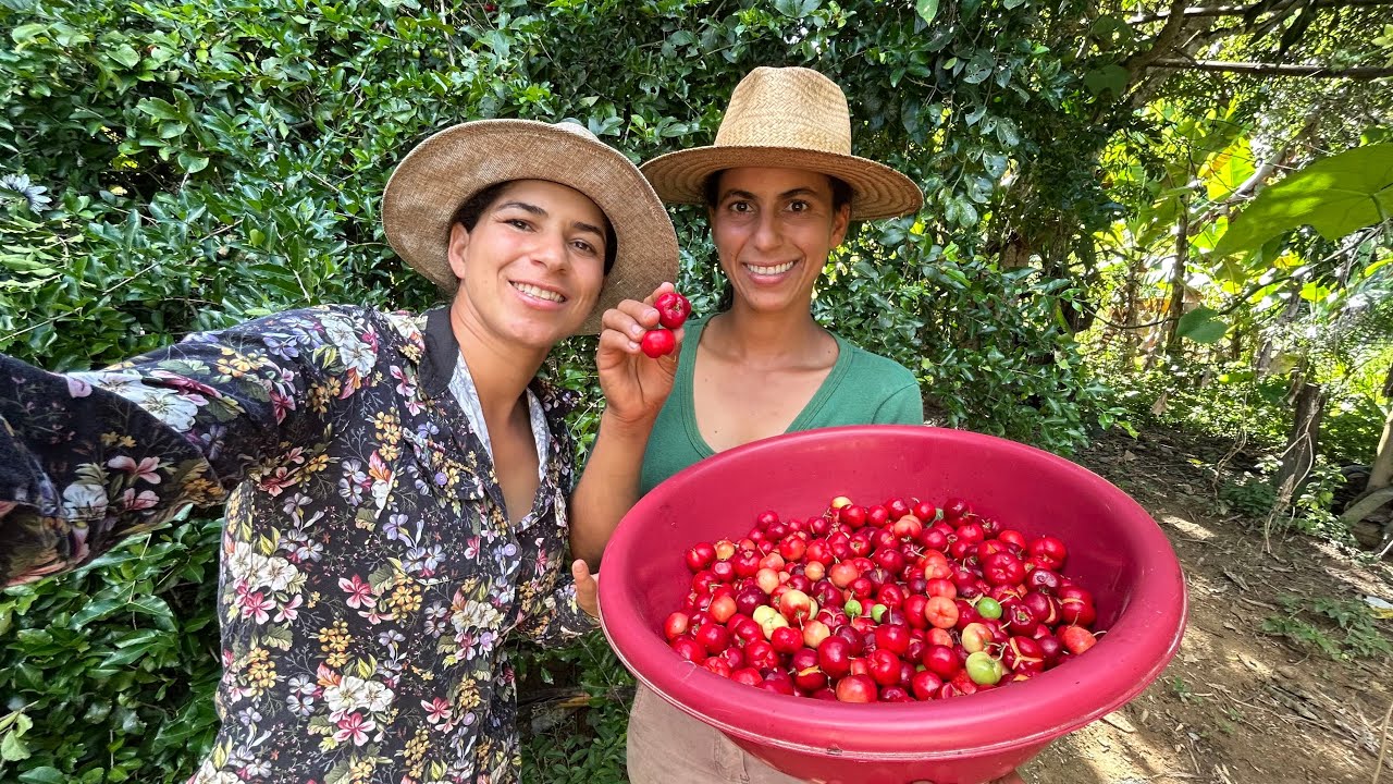 ￼ DO CAFÉ DA MANHÃ NA ROÇA AO PÉ DE ACEROLA GIGANTE … 🍒TIVE QUE SUBIR NELE PARA COLHER! 🤩🌿