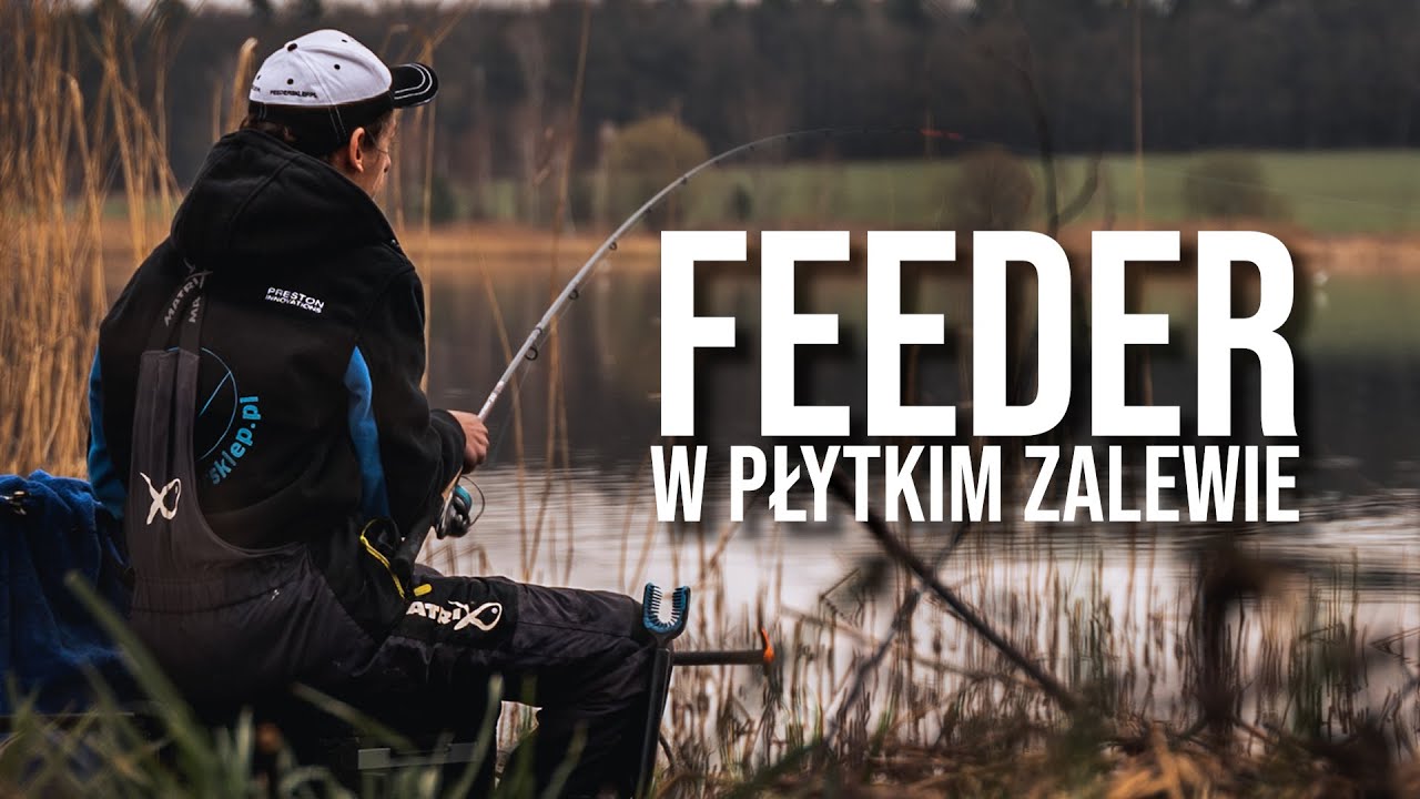 Feeder w płytkim zalewie