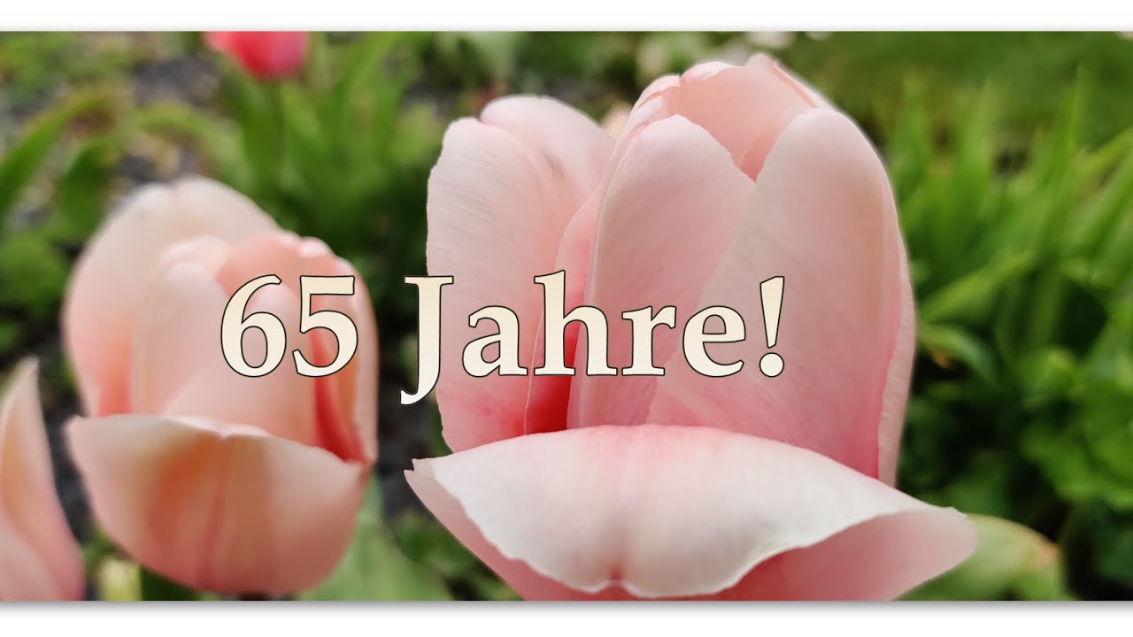 65 Jahre!/Elena Krieger/Foto/