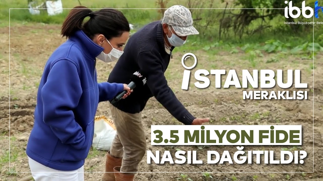 İstanbul'un Çiftçilerine 3.5 milyon fide dağıttık | Istanbul Meraklısı