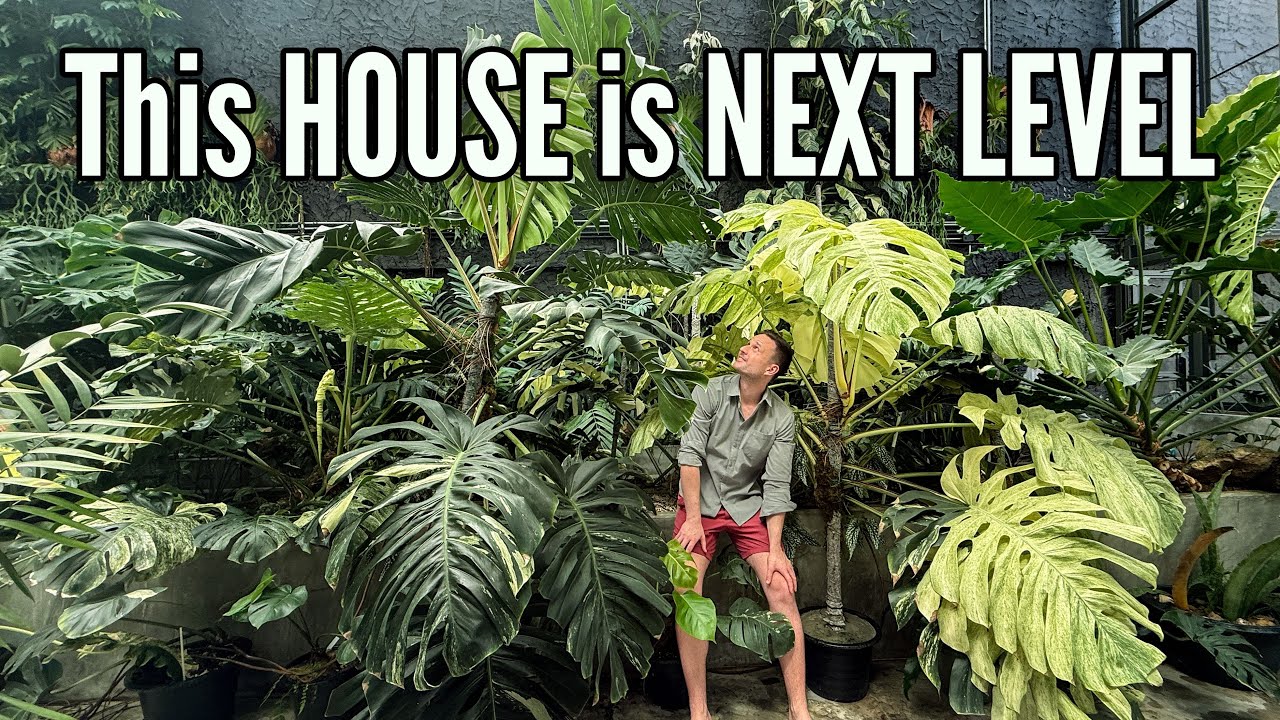 80% Greenhouse, 20% Living Area = 100% My Dream House