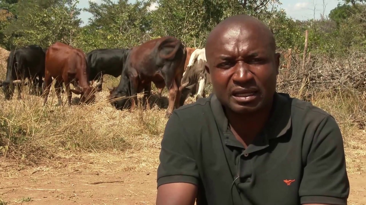 Employ yourself and become rich