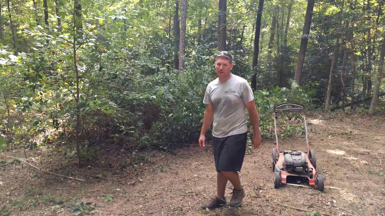 Push lawn mower brush cutter hack
