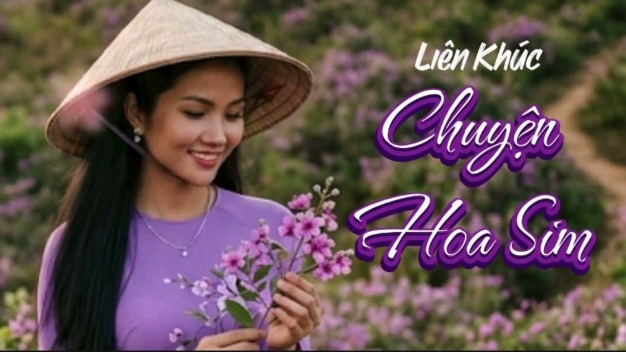 LK Bolero - Chuyện Hoa Sim - Hoa Tím Cover