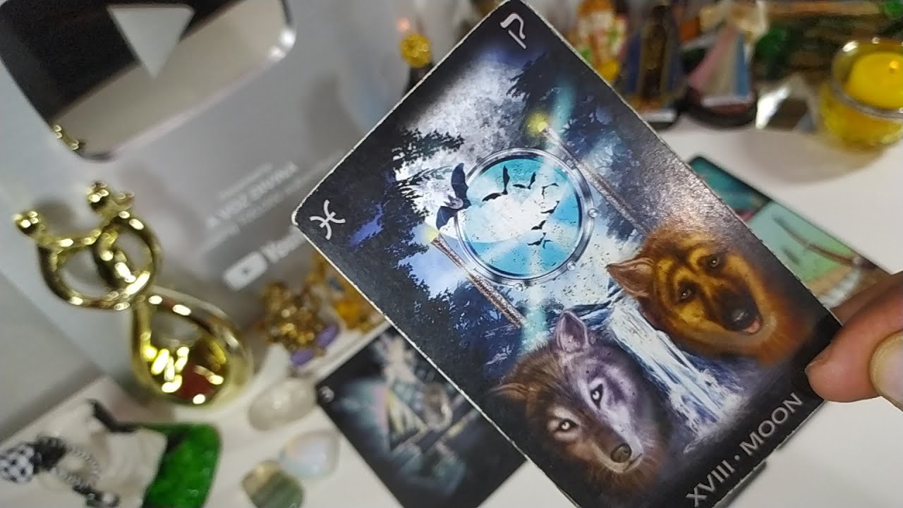🔎 COMO ELE (A) ESTÁ APÓS O AFASTAMENTO? 🔍