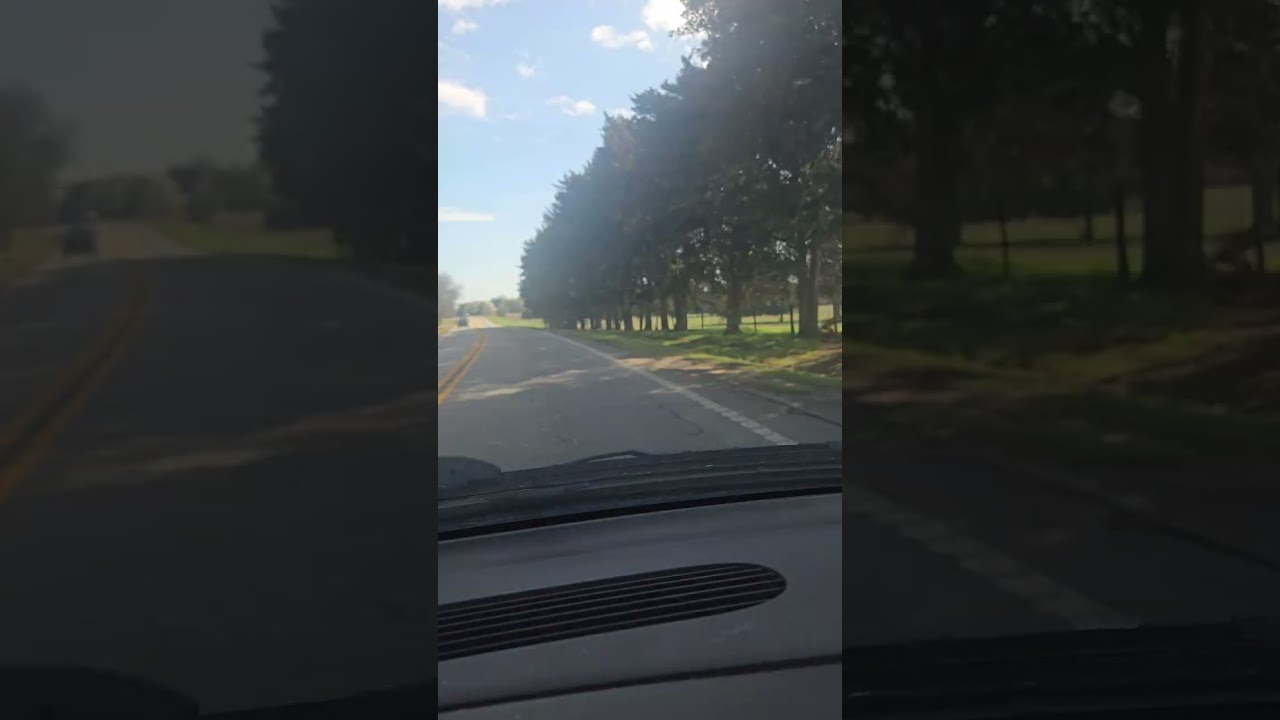 Driving alone