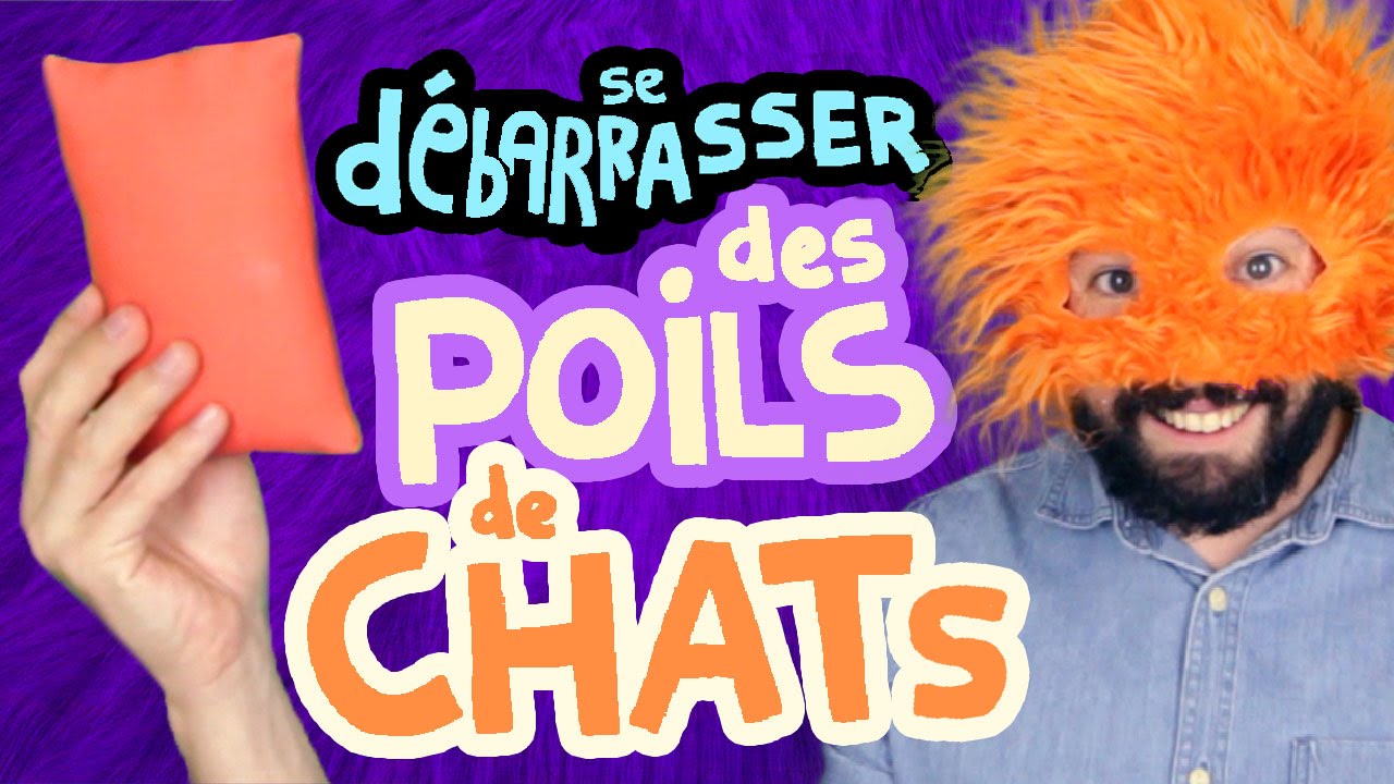 DÉBARRASSEZ VOUS DES POILS DE CHATS - #Copainduweb