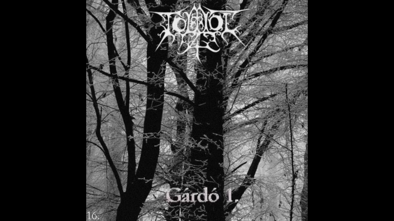 Toluol - G&aacute;rd&oacute; I. (16.album 2003-2006)