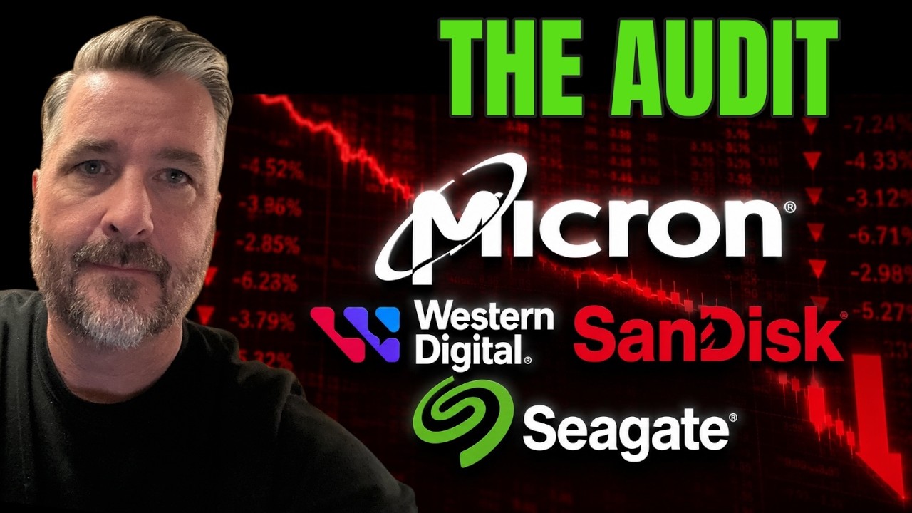 The Memory Selloff - An Institutional Audit