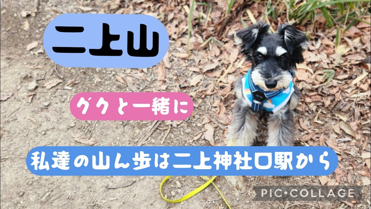 【 二上山 】★二上神社口駅から出発のお山ぽです★「2026年3月15日」 #二上山 #ハイキング #犬と一緒 #シニアらいふ #祐泉寺 #二上神社口駅 #出逢いの広場 #お友達に会う
