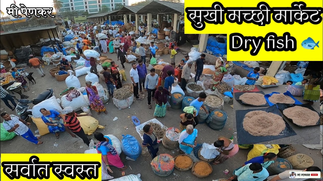 Dry fish market| महाराष्ट्रातील सर्वात मोठा आणि स्वस्त सुका मच्छी मार्केट#dryfishmarket#marolmarket